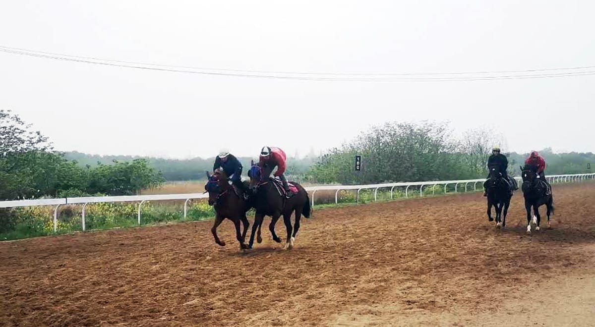 Ex-pat safe in Chinese racing bubble