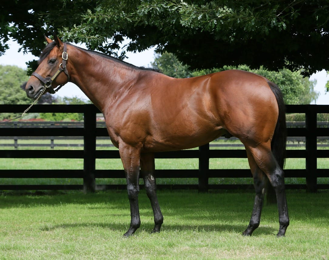 Eighth stakes winner for Charm Spirit