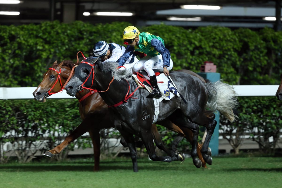 Teetan bags a birthday brace