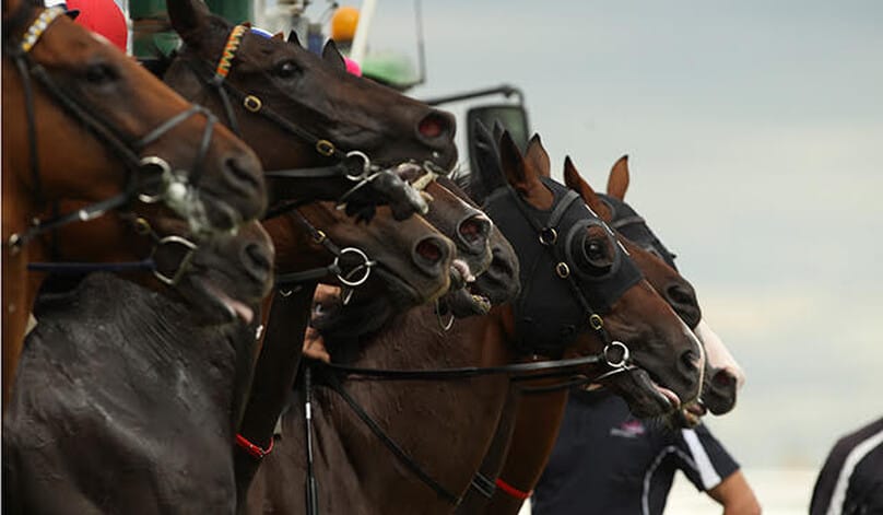 Winter Cup reinstated