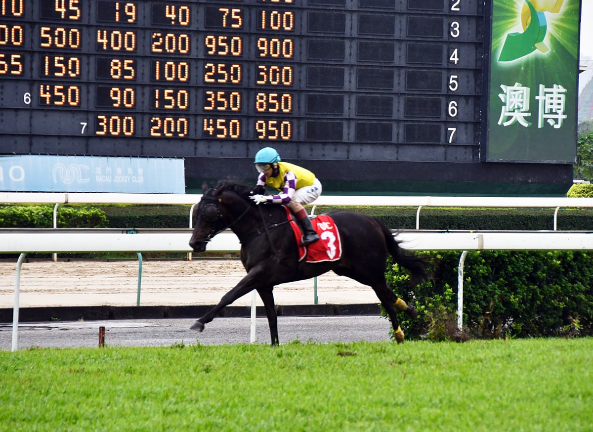 Sacred Capital too strong in Chairman Memorial Cup