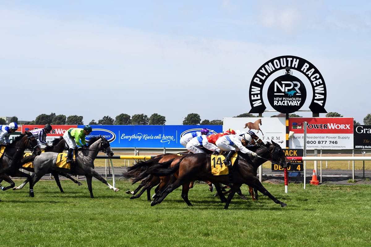 New Plymouth Racing in the fight of its life