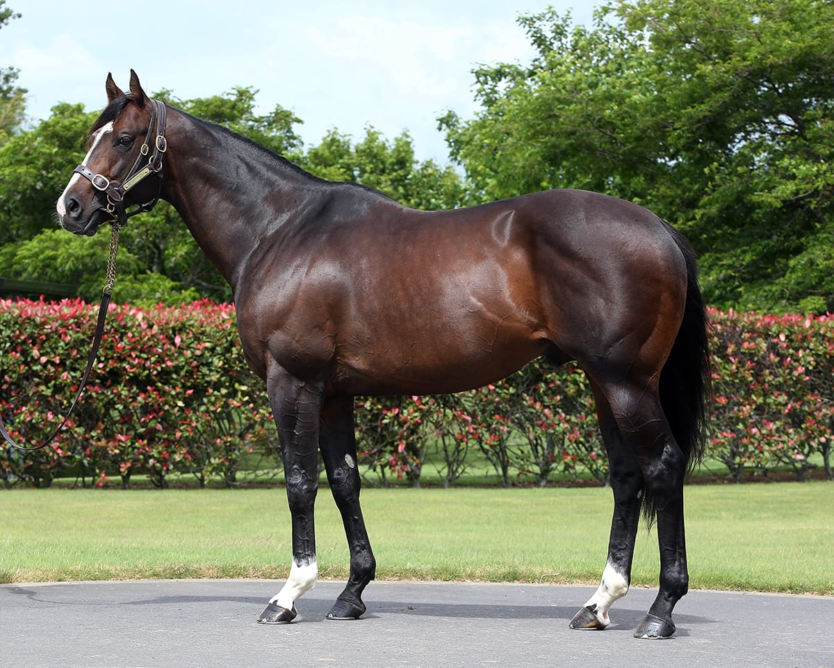 Mohaather makes amends in Sussex Stakes