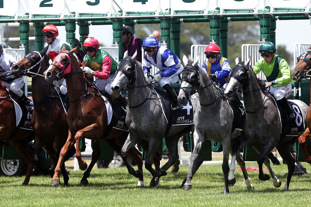 Live racing comes to loveracing.nz