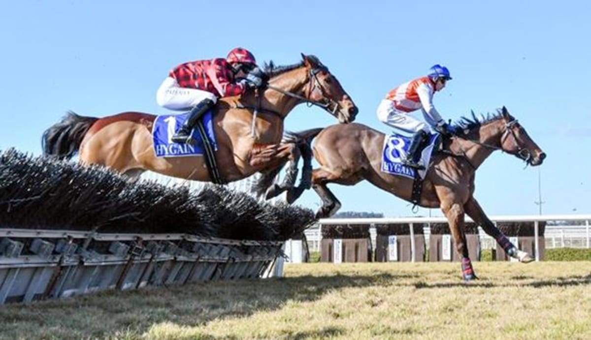 Tallyho survives protest to win