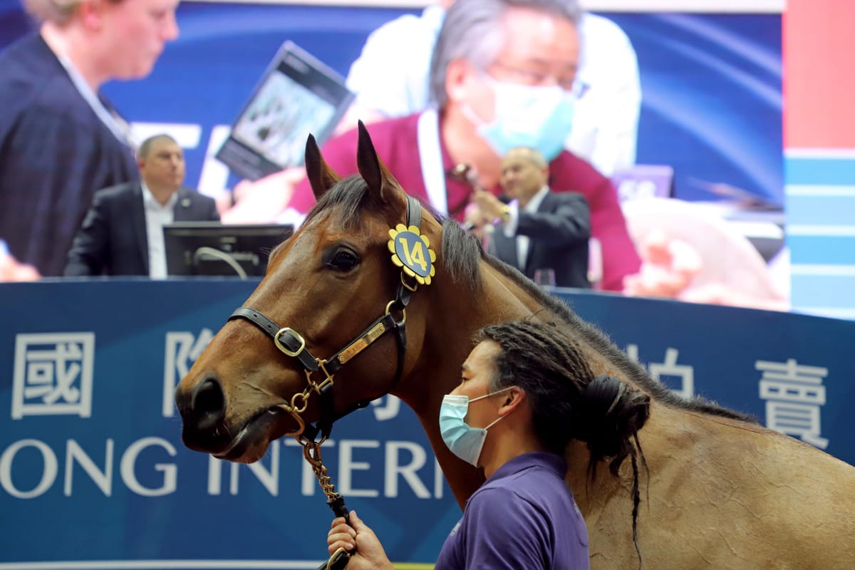 Strong results at Hong Kong International Sale