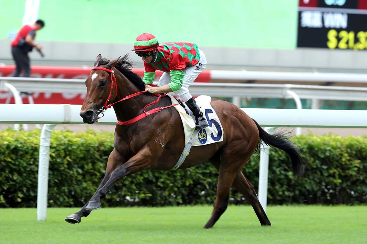 Regency Legend ready for return