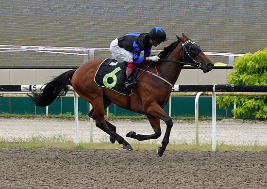 Happy Saturday for Kok