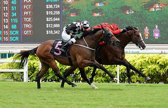 Heartening Flyer toils hard again for the win