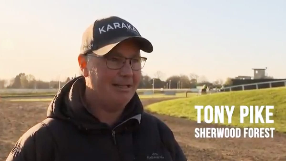 VIDEO: Sherwood Forest