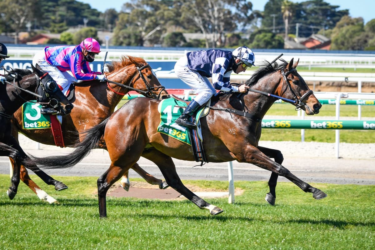 NZ Bred Gr.1 Victoria Derby Aspirants