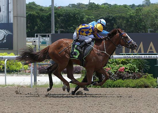 Heavenly Dancer looking to maintain winning run