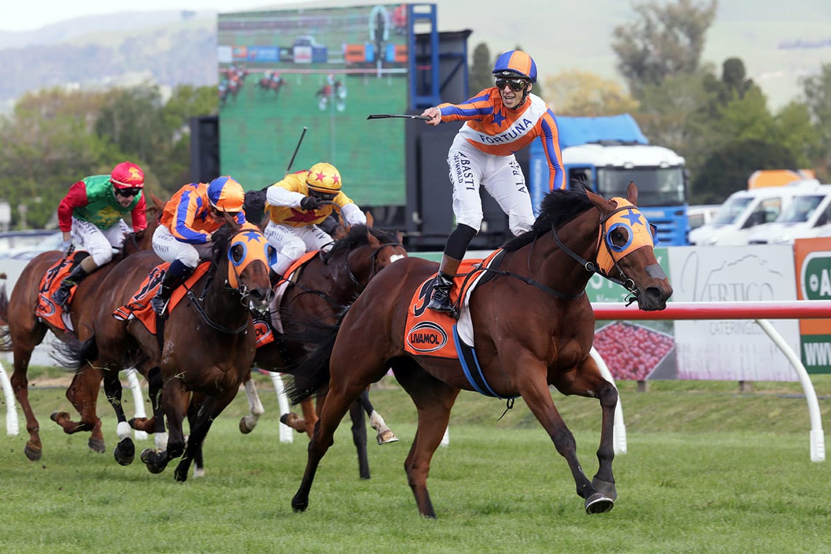 Melody Belle reigns supreme at Hastings