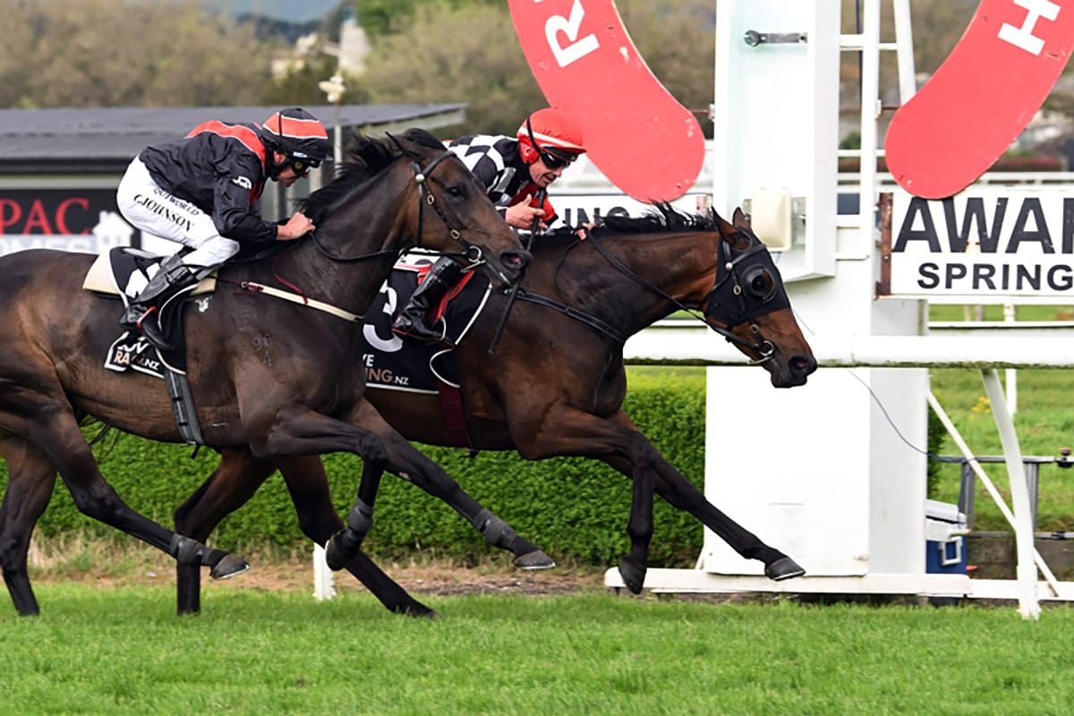 Late Auckland Cup tilt for Mohaka