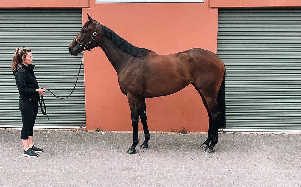 AUDIO: Jamie Richards