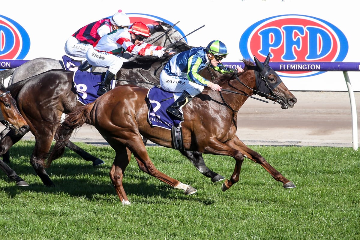 Spanish Whisper to be sold on Gavelhouse Plus