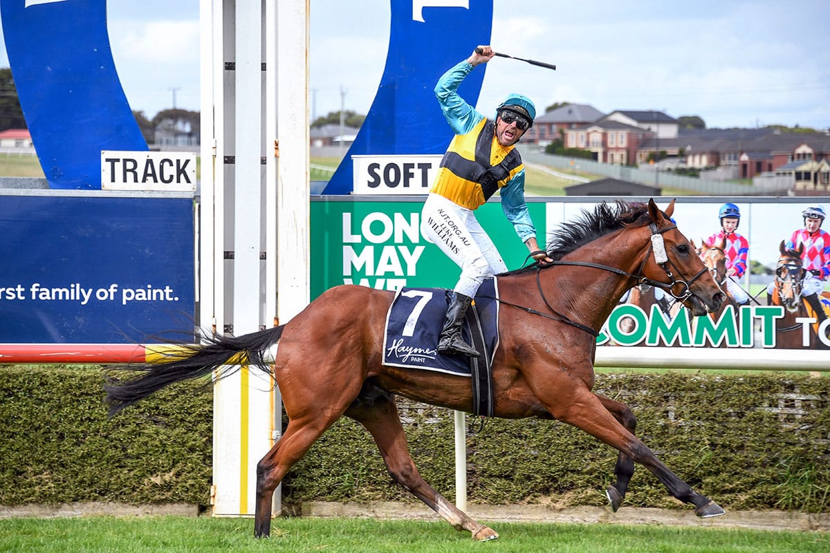 Hardy Kiwi bred wins prestigious Jericho