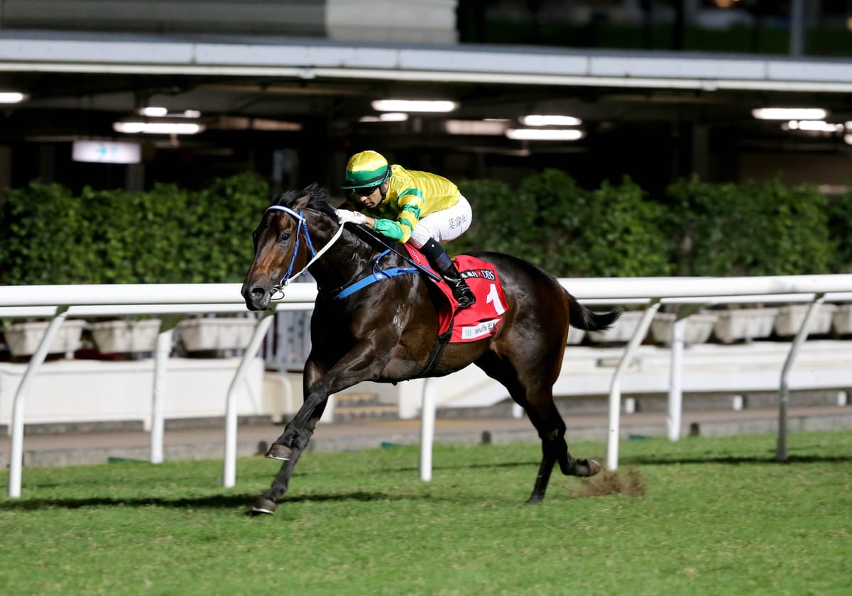 Sky Darci is primed for strong return