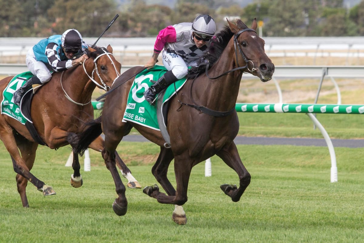 Surprise Baby ruled out of the autumn