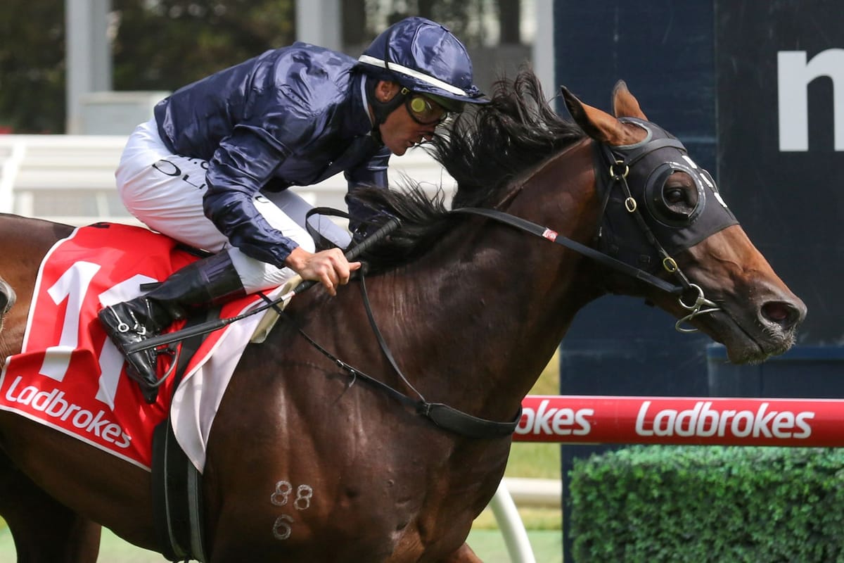 David Hayes unveils Conqueror with Hong Kong Derby in mind