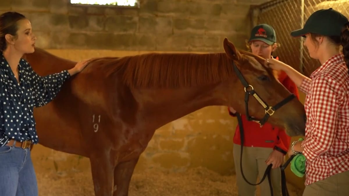 Beyond The Winning Post | Laura MacNab & Hannah Airey
