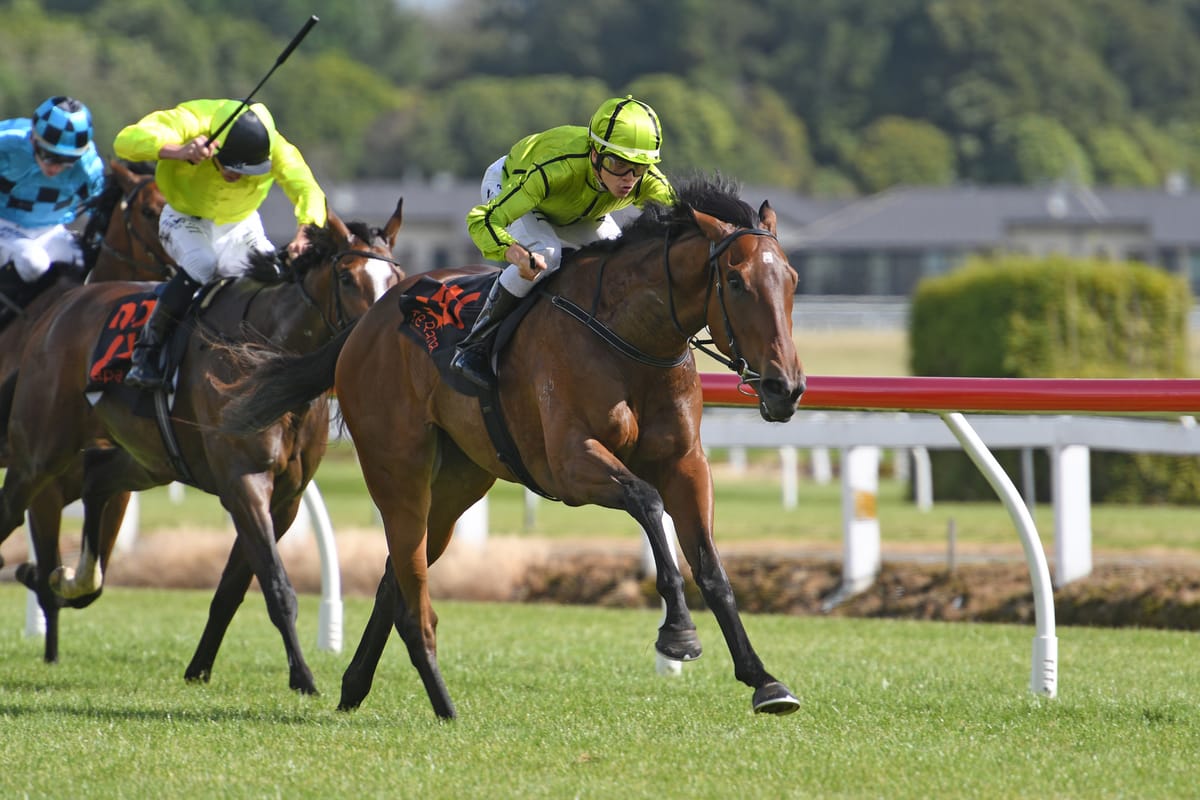 Triple threat for local trainers