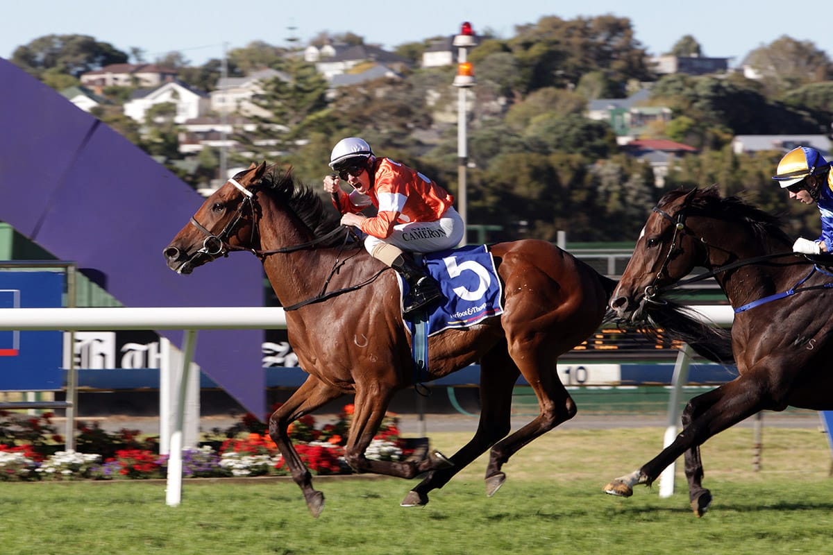 Cameron calls time out on riding career