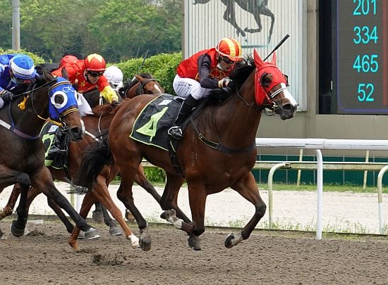 Zygarde clears maiden ranks