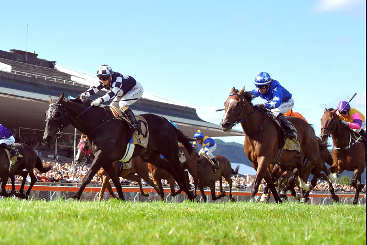 Steve Austin looking to score at synthetic meeting