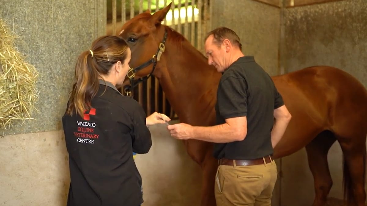 Beyond The Winning Post | Segment 2- Dr Doug Black