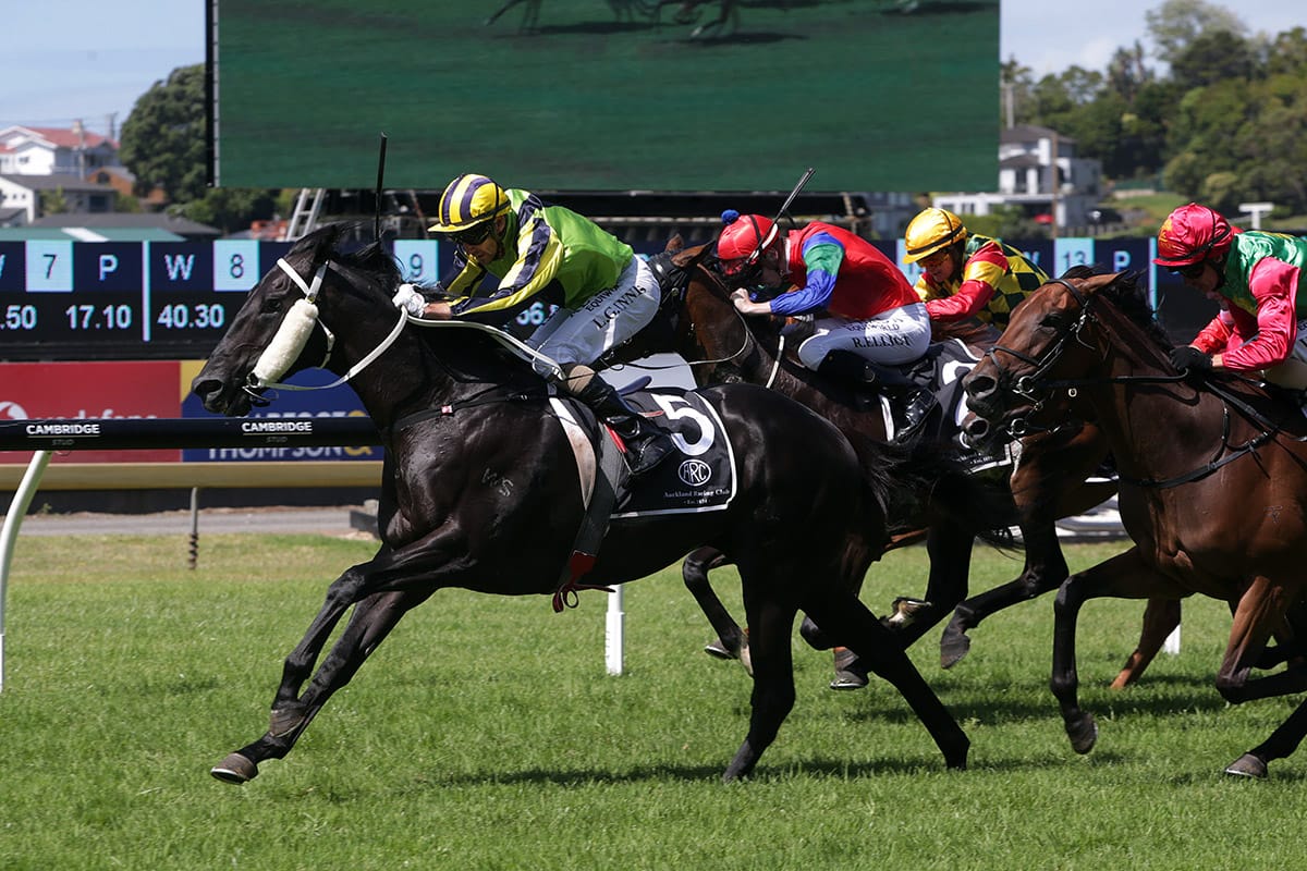 Milford too strong in Ellerslie feature