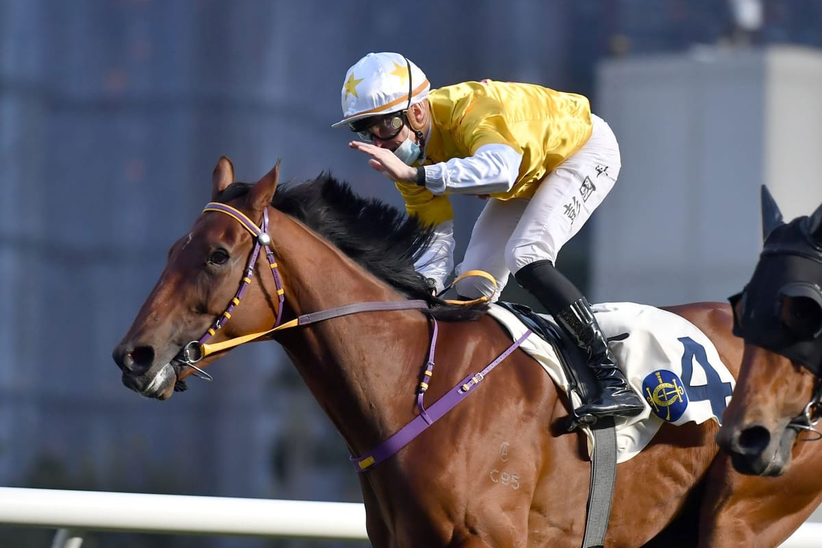 Not Usual Talent upstages glittering field of Four-Year-Old Classic Series hopefuls