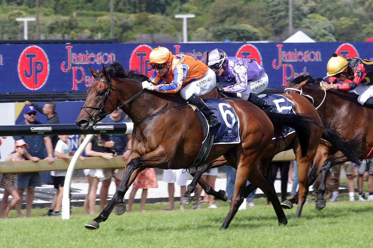 Oaks path for Amarelinha