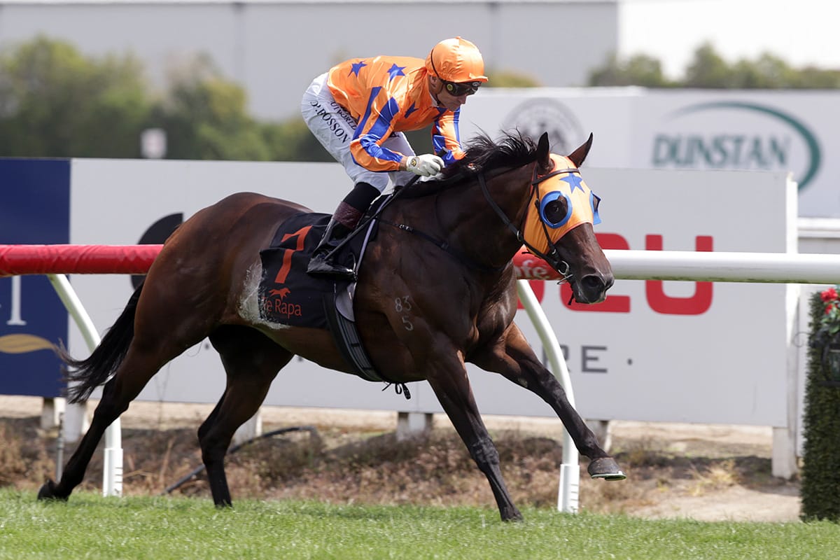 Super seven for Avantage in Te Rapa sprint feature