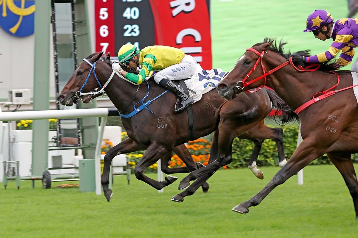 Sky Darci heads BMW Hong Kong Derby selected runners
