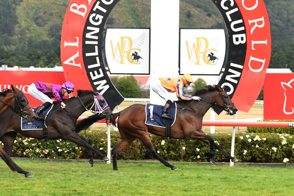Amarelinha brilliant in New Zealand Oaks victory