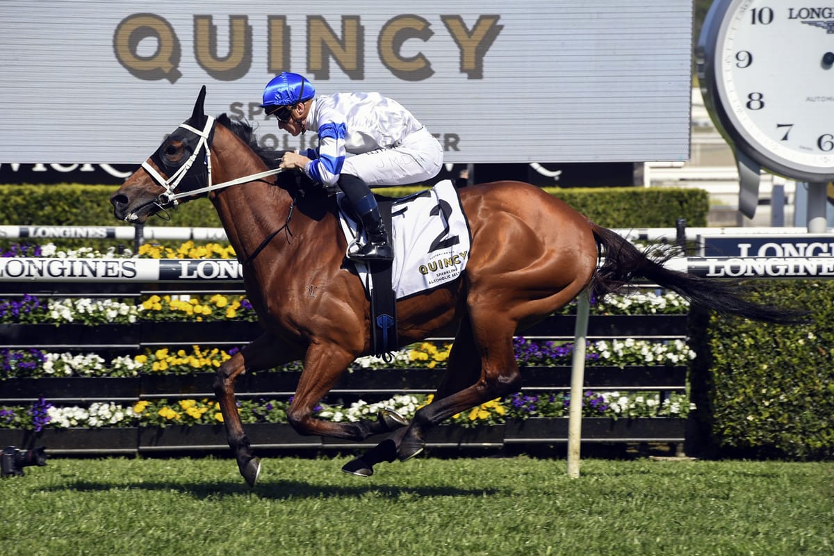 Kiwi trio feature in World’s best