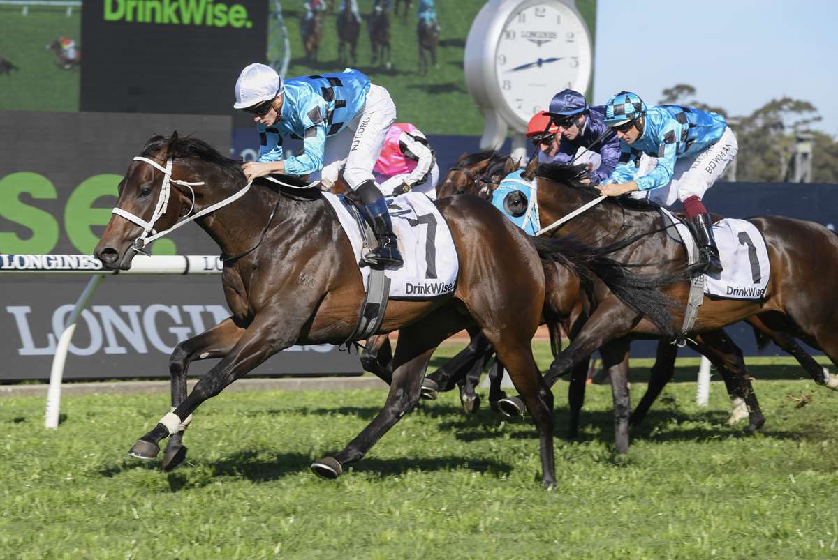 Mo'unga tops Neasham's trio