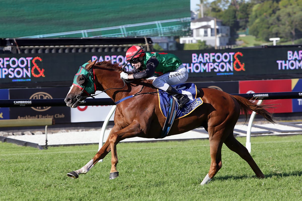 Billy back on raceday