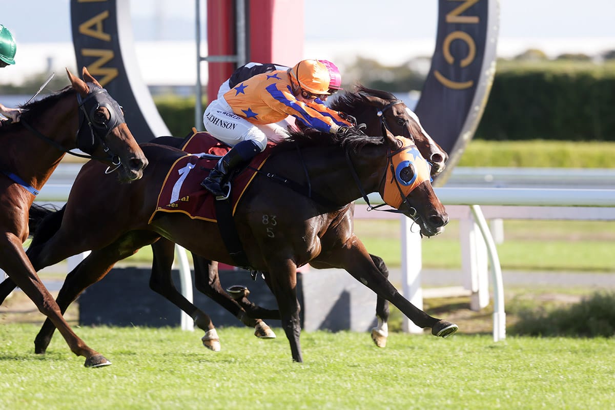 Avantage makes it nine Group One wins with Te Rapa triumph