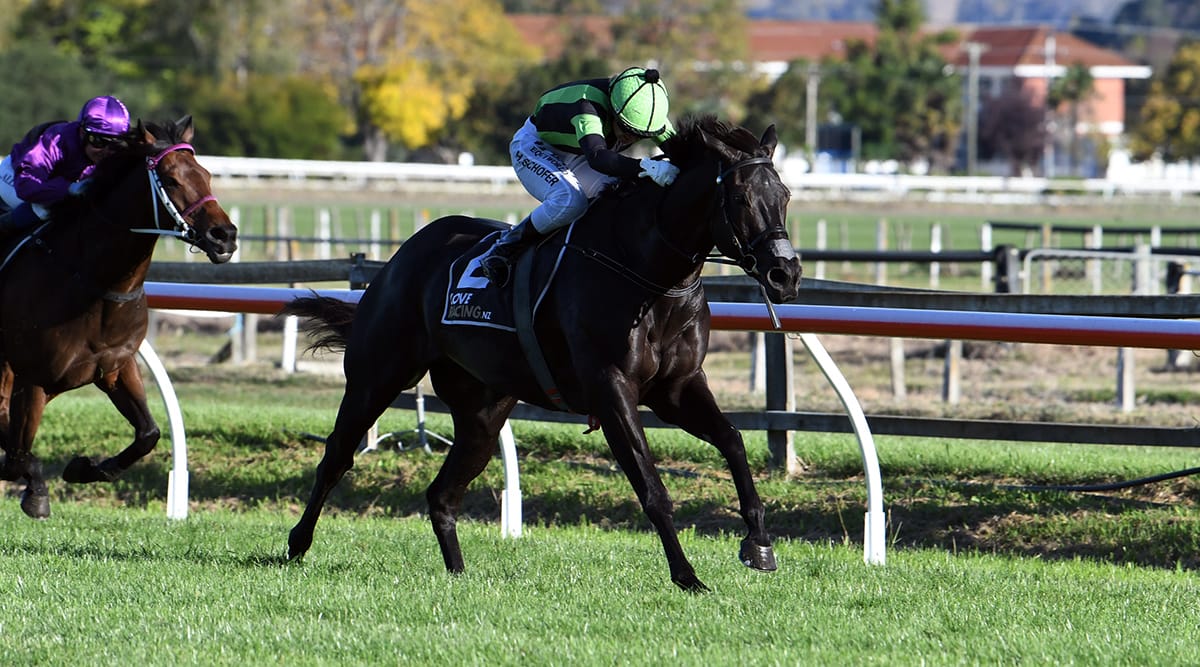 Breeding book brings big reward