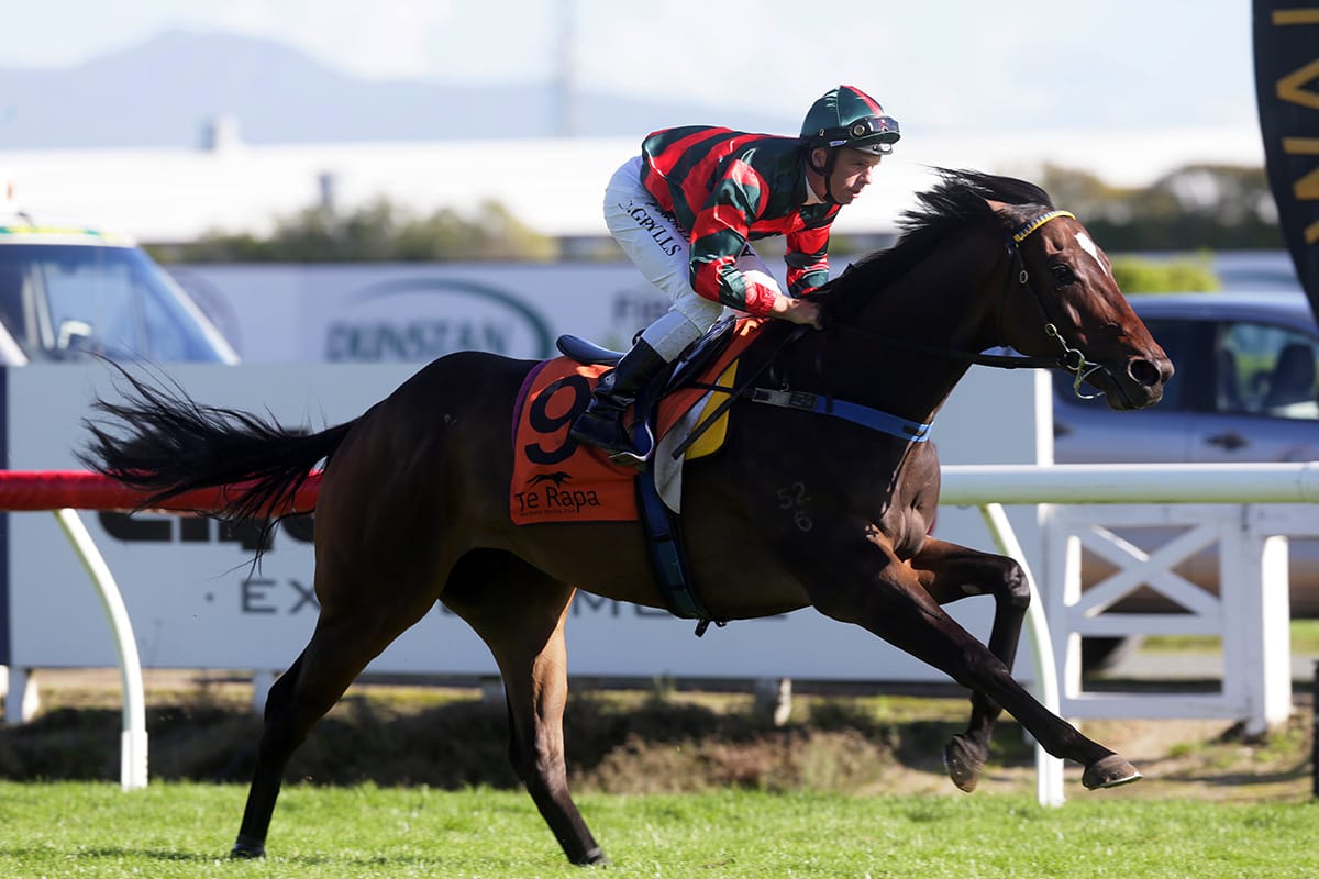 O’Sullivan and Scott pair on target for Queensland carnival