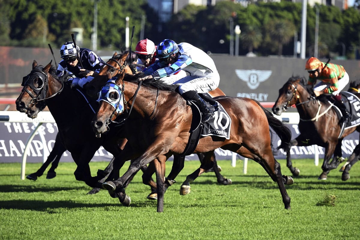 Explosive family gives Muollo another Group One win