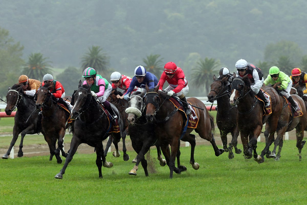 Te Aroha abandoned after race three