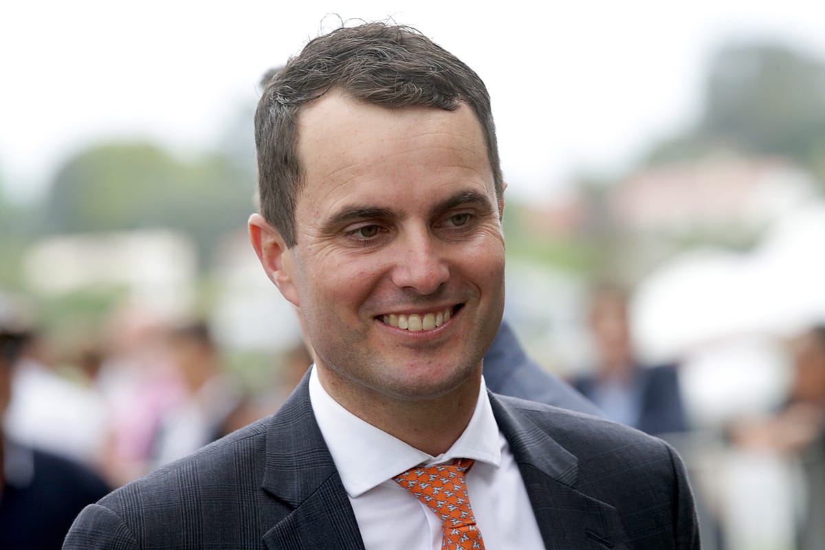 AUDIO: Andrew Forsman