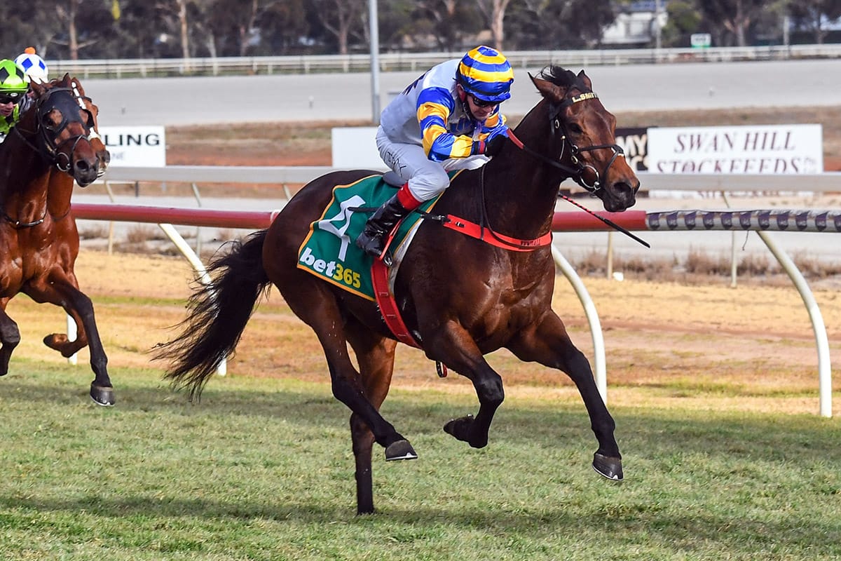 Yendall gets five after Ace Cup ride