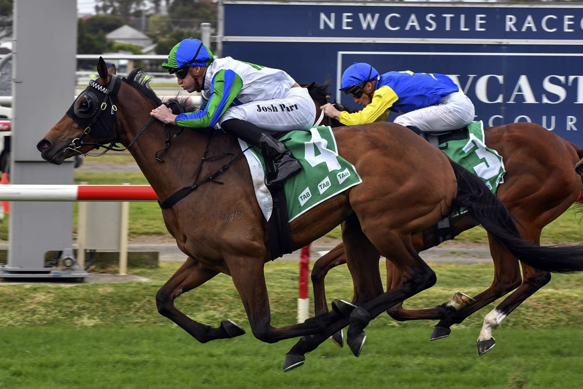 Bargain primed for Queensland Oaks