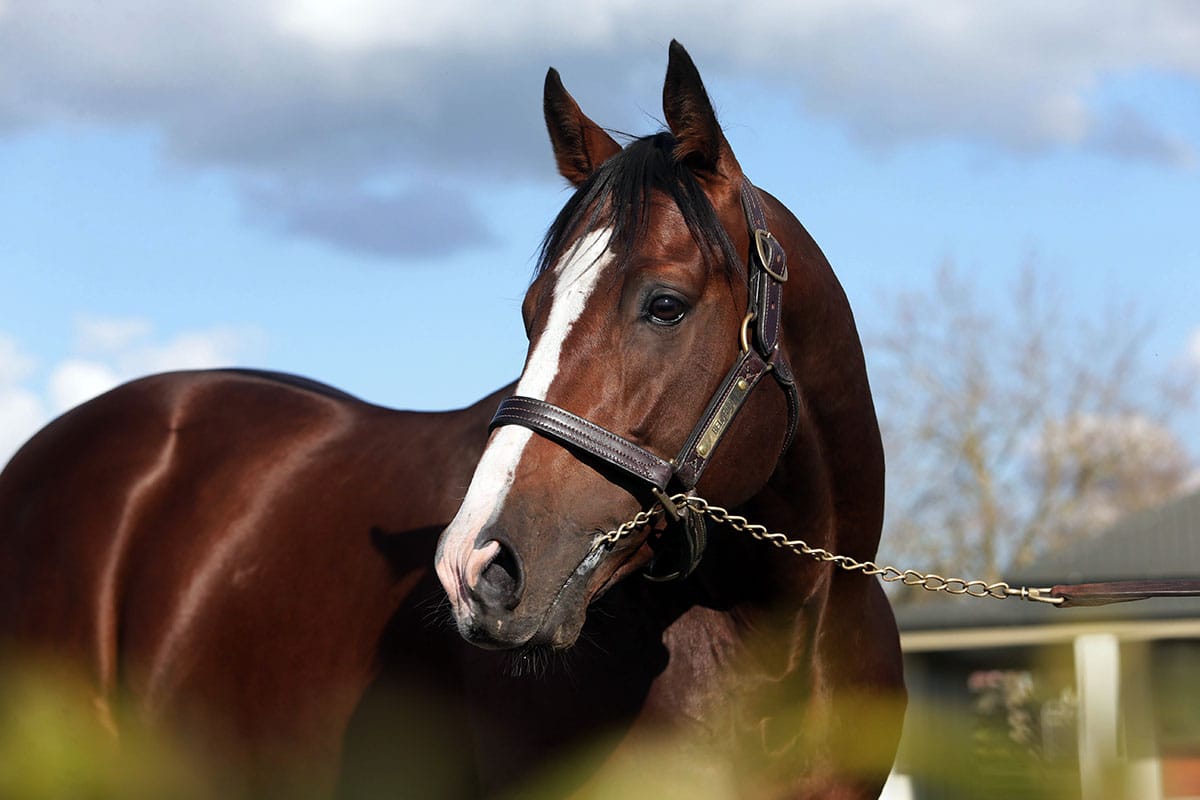 Fourth winner for Belardo