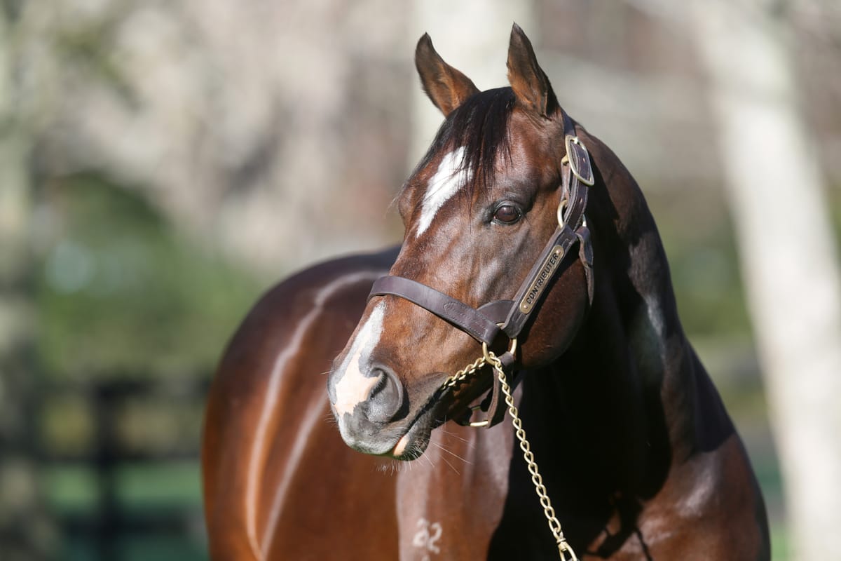 Mapperley Stud announce 2022 service fees