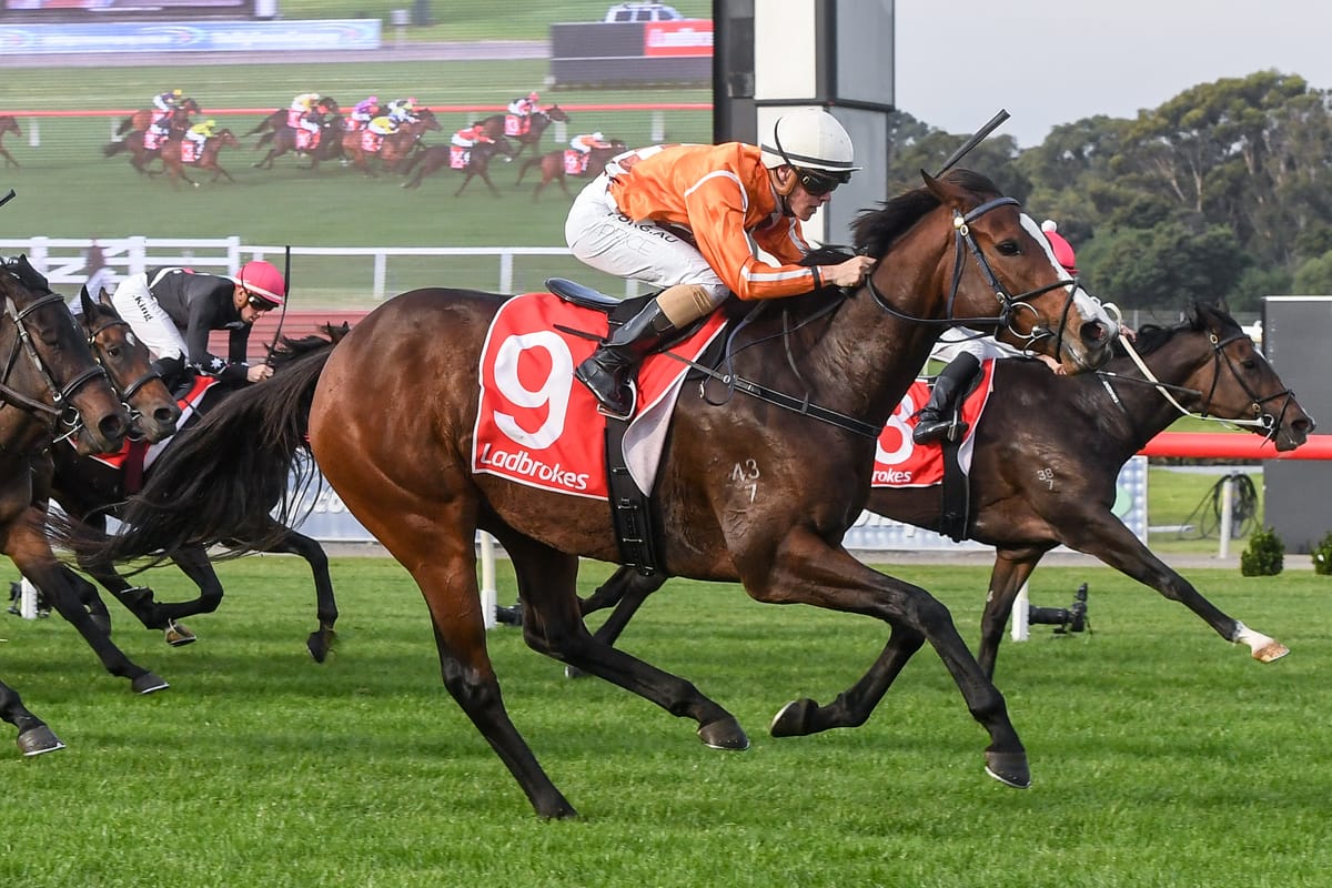 Electric Belle heading to Sandown